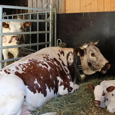 Prázdninový dům S' Tobiasa Schönwies